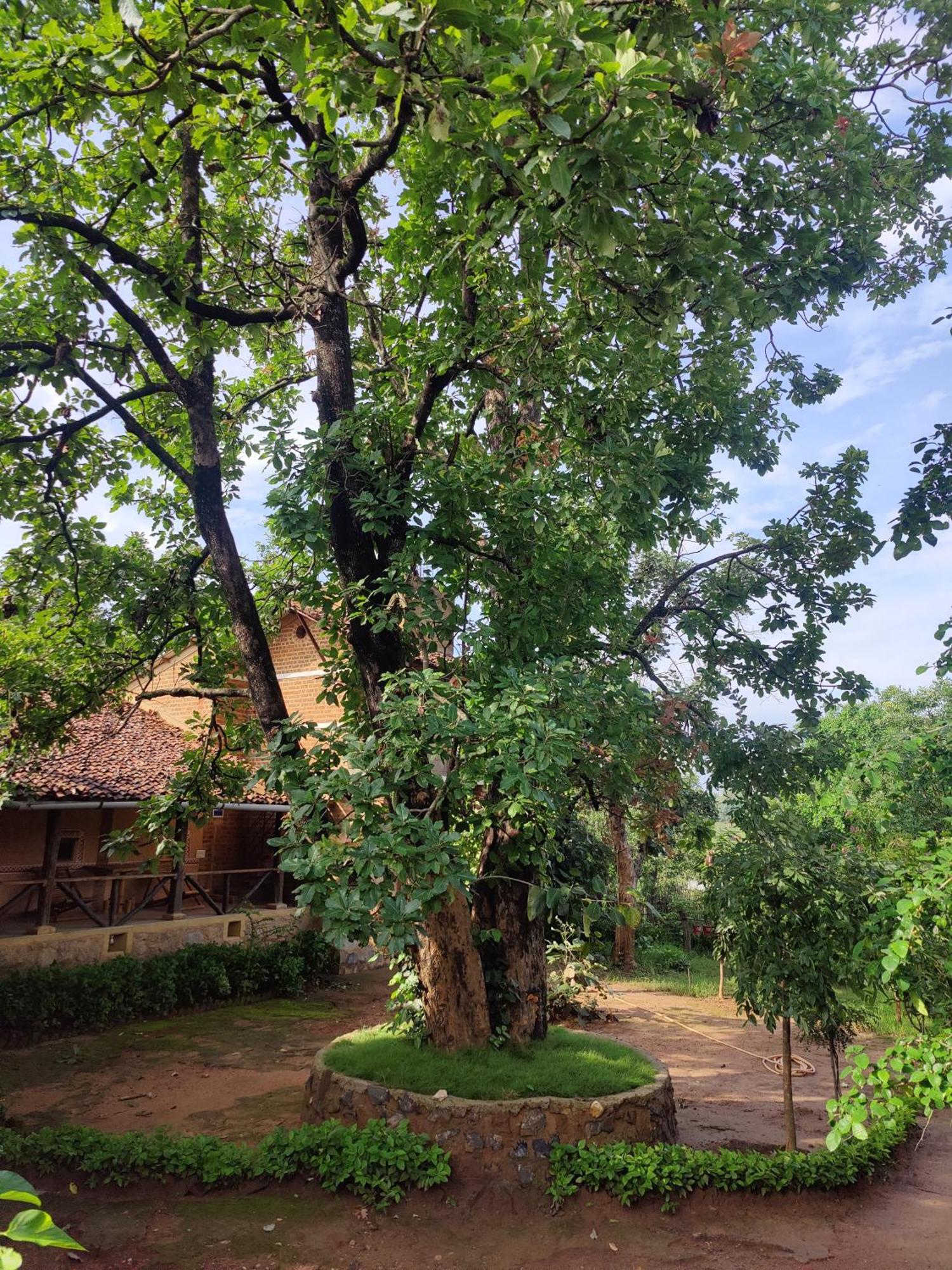 Surwahi Social Ecoestate Канха Экстерьер фото